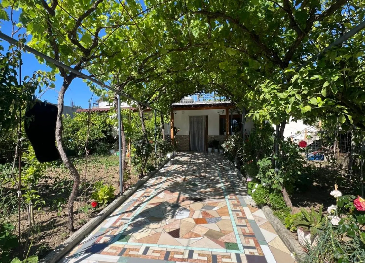 Familystay Orikum Polisi i Vogel 0*,  Albanie